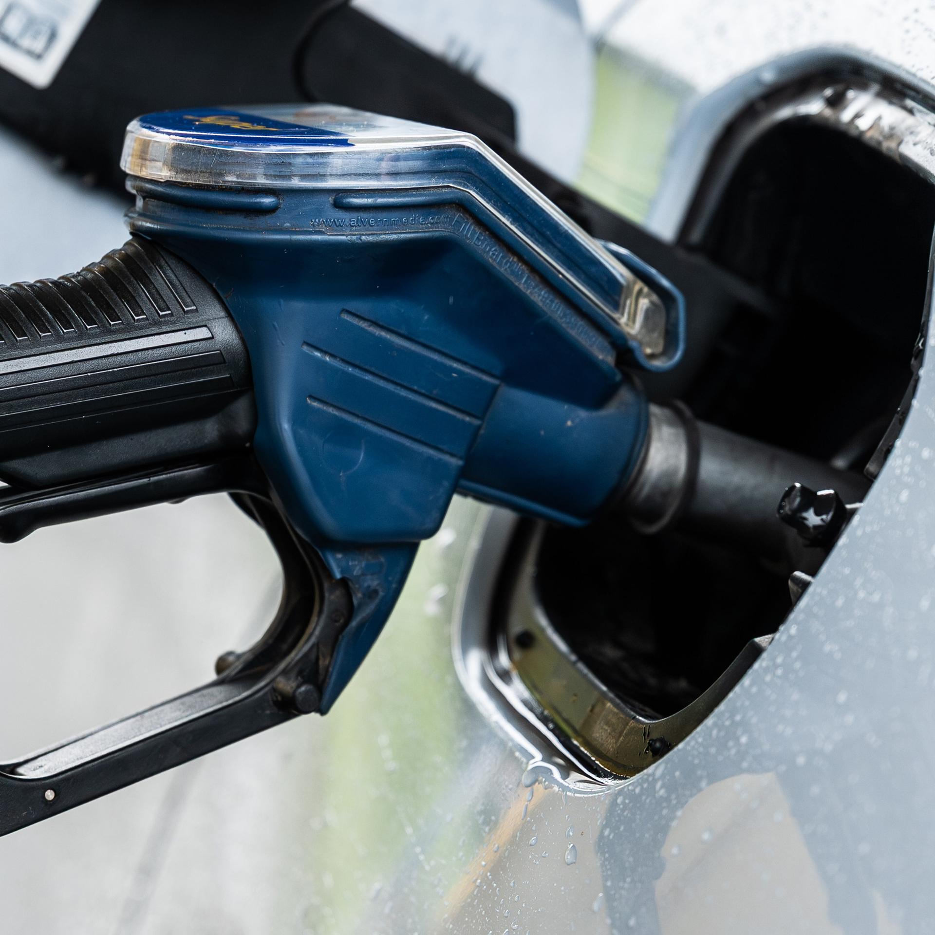 19. März 2026 - Die internationale Presseschau