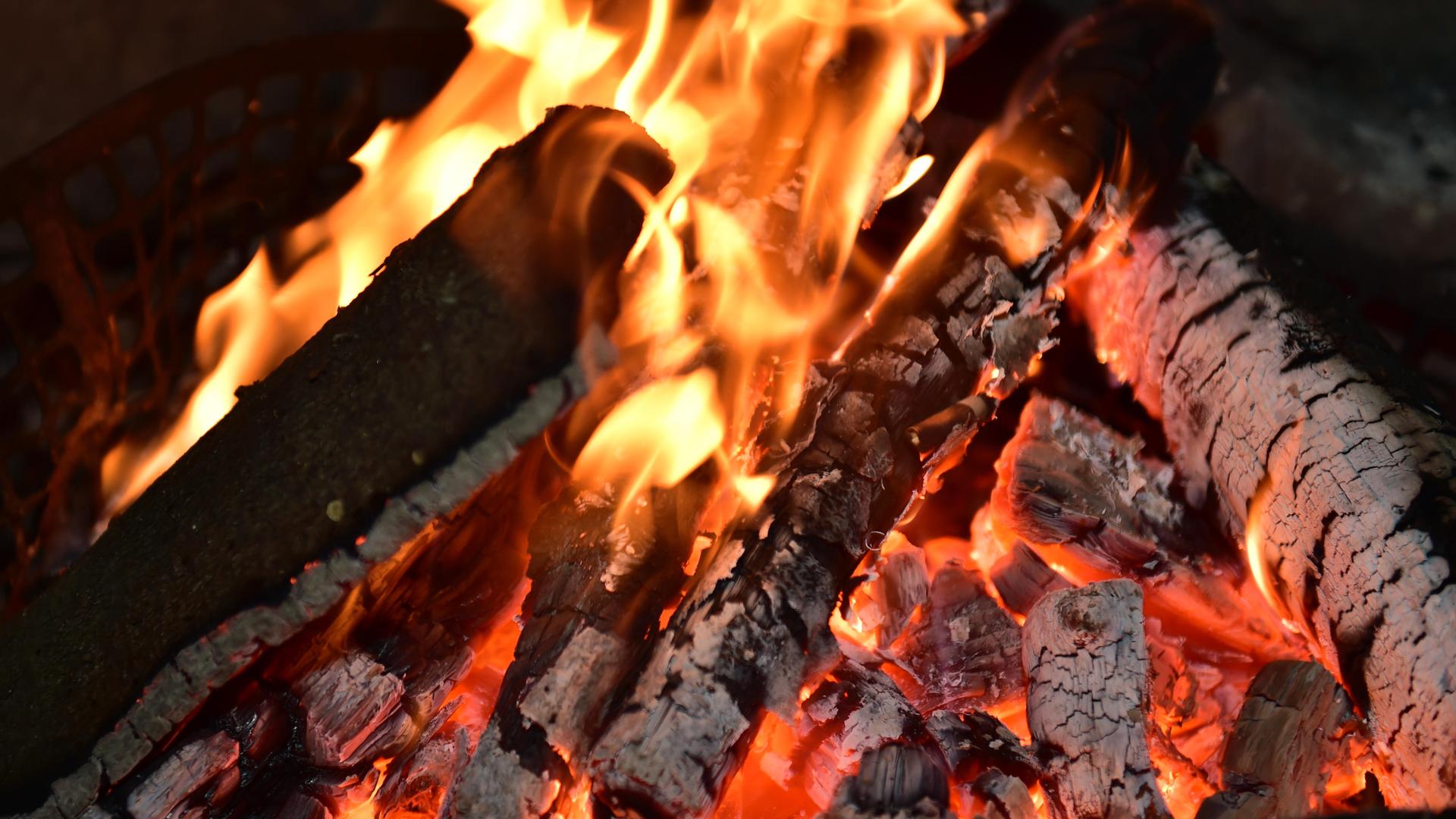 Halb abgebrannte Holzscheite liegen im Feuer.