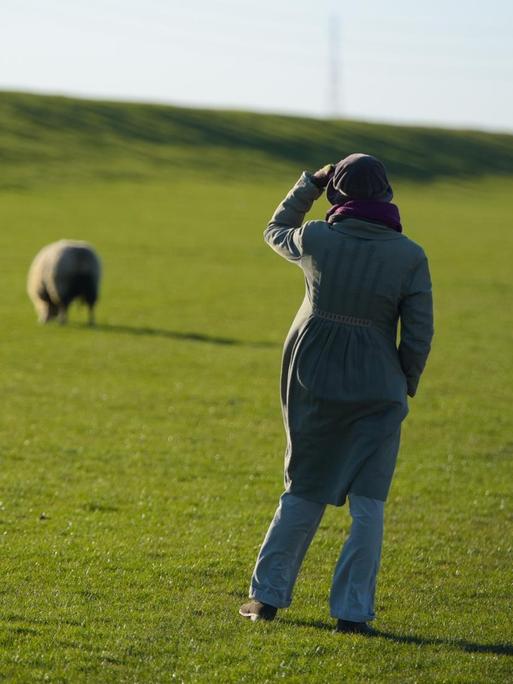 Eine Frau beobachtet grasende Schafe (Ovis) im Sonnenschein auf einer Wiese an einem Deich nahe der Elbe.