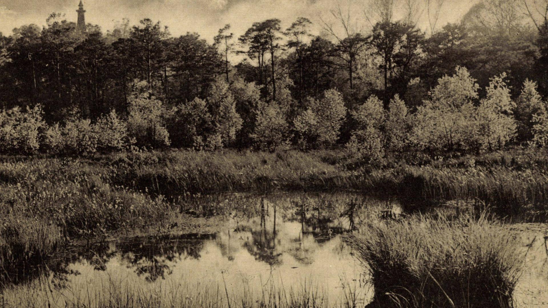 Eine alte schwarz-weiß bzw. Sepia-farbene Aufnahme vom Teufelsmoor in Berlin-Köpenick schätzungsweise aus dem Jahr 1935. Zu sehen sind Bäume, Gräser und eine Wasserfläche. Die Atmosphäre mutet düster an.