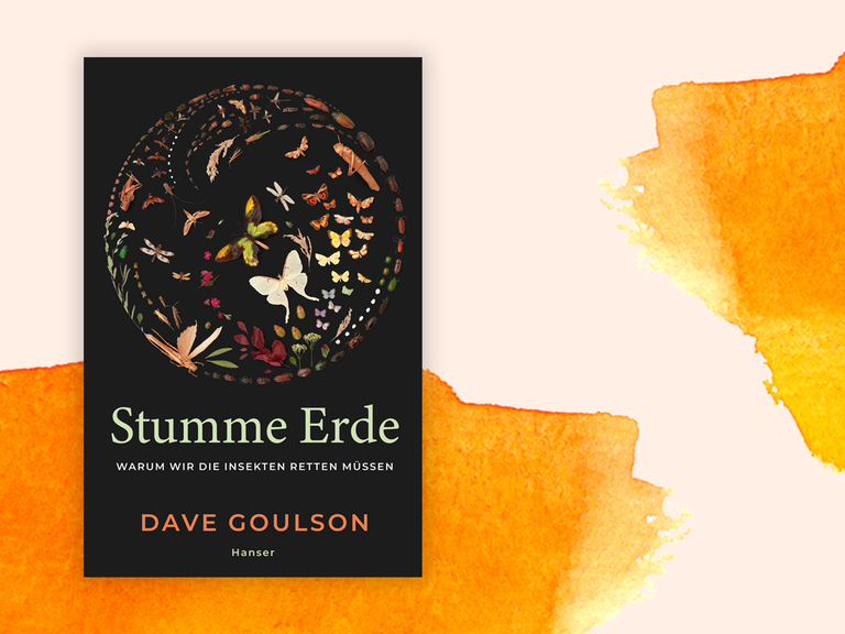 Das Cover zeigt verschiedene Insektenarten zu einem Kreis angeordnet auf schwarzem Hintergrund. Darunter Buchtitel und Autorenname. Hinter dem Buch sind orangene Farbverläufe.