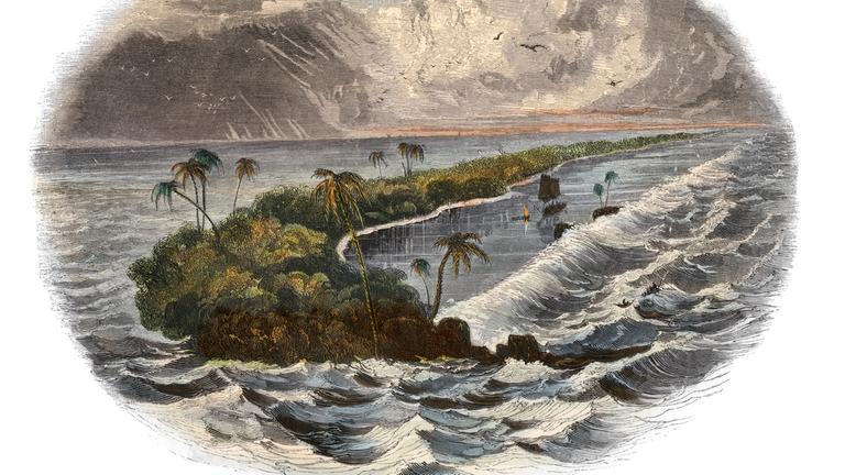 Illustration einer tropischen Insel aus dem Jahr 1800.