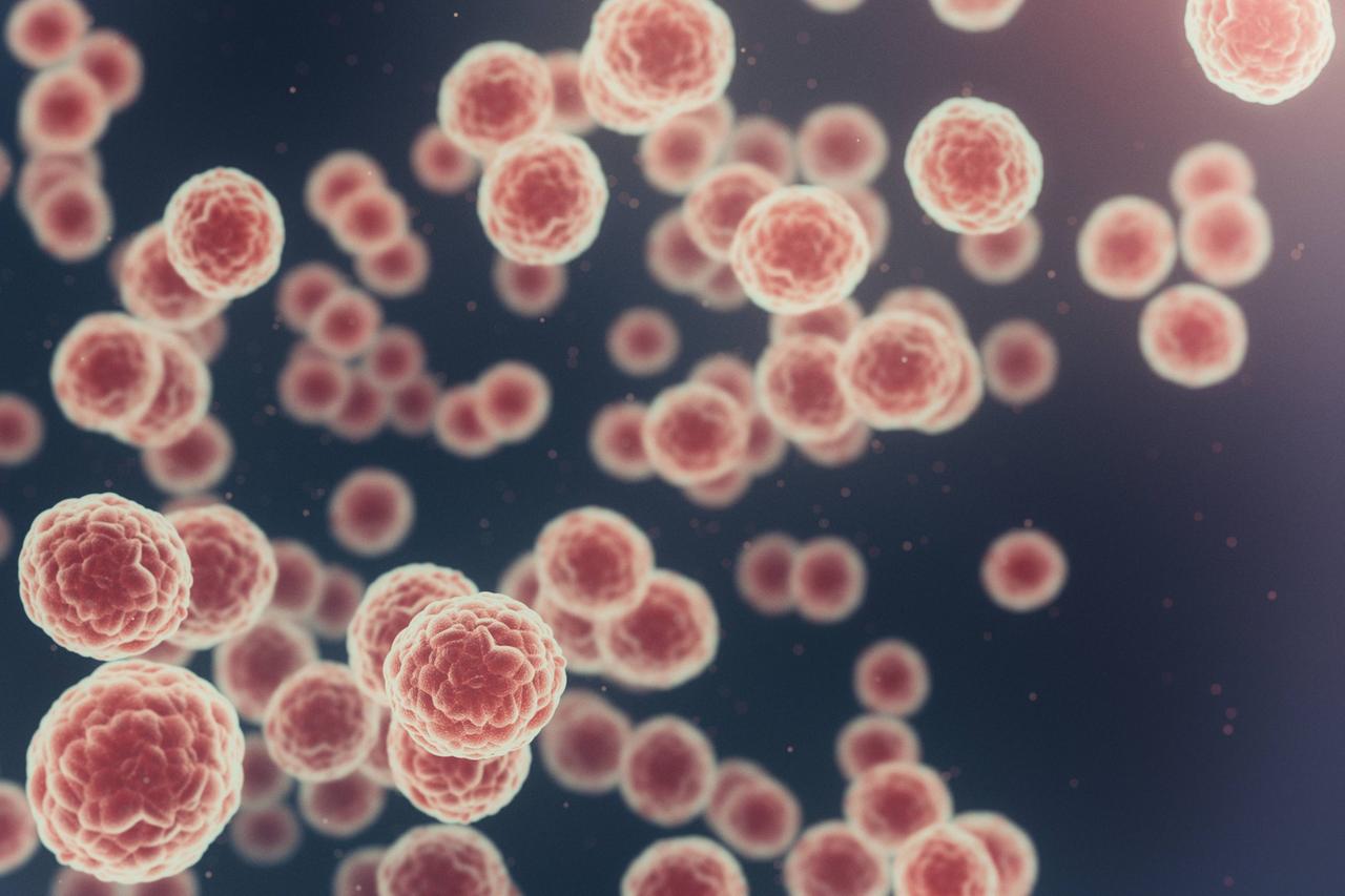 Mikroskopische Ansicht von rosafarbenen Viren auf blauem Hintergrund
