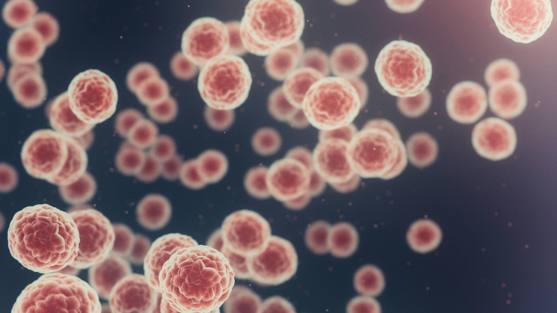 Mikroskopische Ansicht von rosafarbenen Viren auf blauem Hintergrund