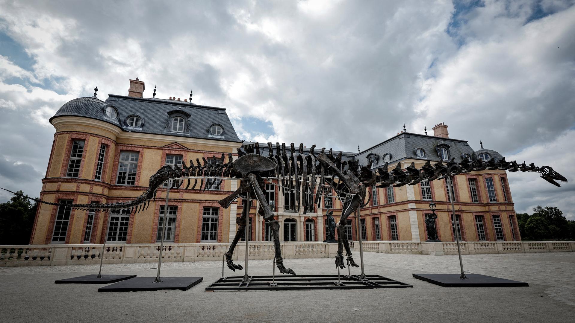 Das Skelett eines Apatosaurus vor dem Schloss Dampierre nahe Paris