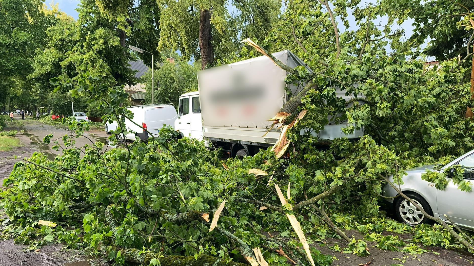 Ein Baum ist im Berliner Stadtteil Heiligensee durch schwere Böen auf Autos und einen Transporter gefallen.