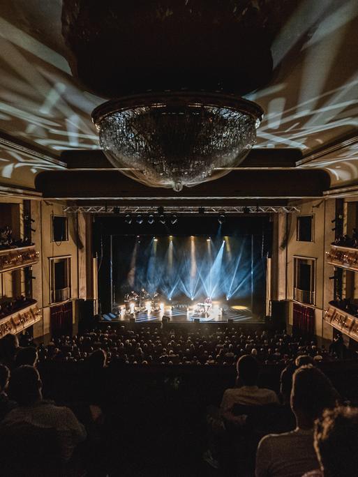 Der Musiker Danger Dan spielt live in einem großen Konzertsaal seine Tour "Das ist alles von der Kunstfreiheit gedeckt".