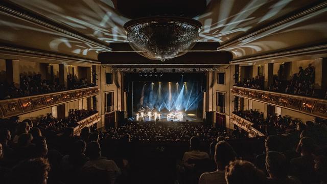 Der Musiker Danger Dan spielt live in einem großen Konzertsaal seine Tour "Das ist alles von der Kunstfreiheit gedeckt".