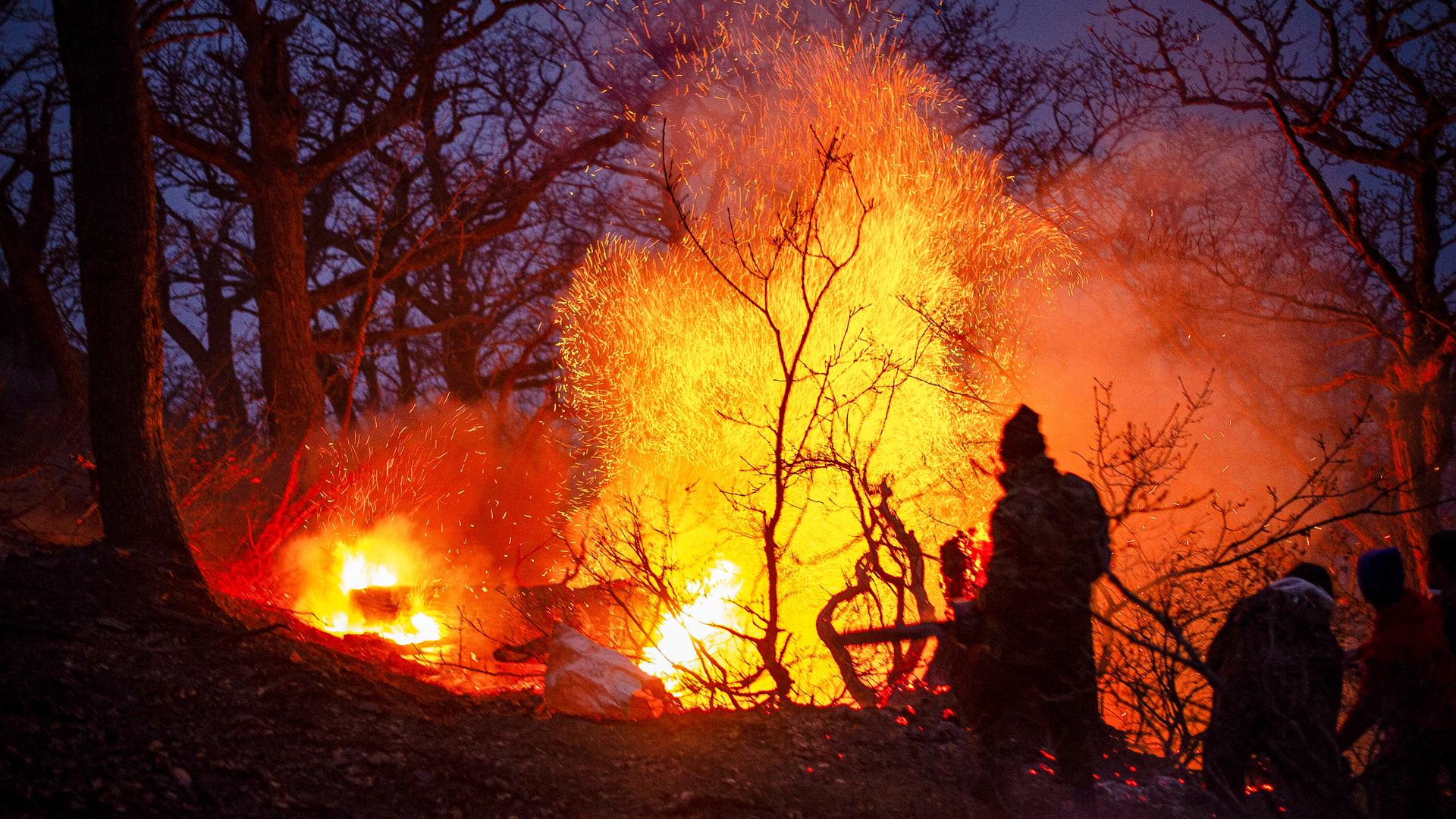 Hohe Flammen in einem Wald Hohe Flammen in einem Wald