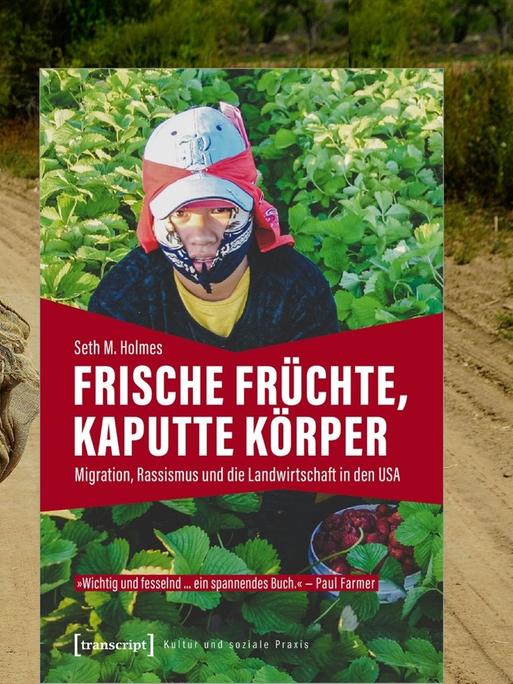 Seth M. Holmes schreibt über mexikanische Wanderarbeiter in den USA, die nicht nur frische Früchte für die globalisierten Märkte ernten, sondern auch Ressentiments und Diskriminierung:  „Frische Früchte, kaputte Körper: Migration, Rassismus und die Landwirtschaft in den USA“