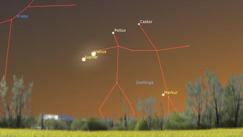 Ein Sternenbild zeigt die Position vo n Jupiter und Venus im Abstand zu Merkur.