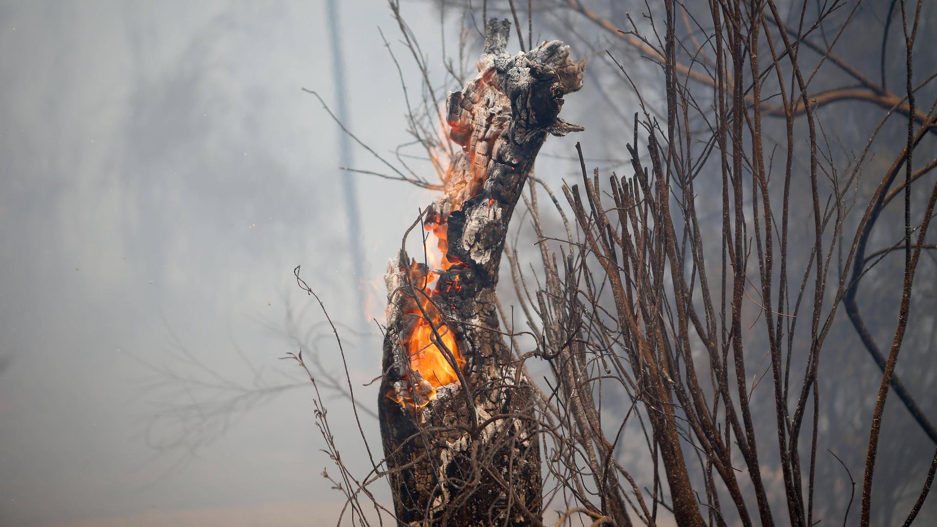 Das Feuer von Larouco (Spanien) überquerte den Fluss Sil an bis zu 15 Stellen und erreichte die Gemeinde Lugo (Spanien).