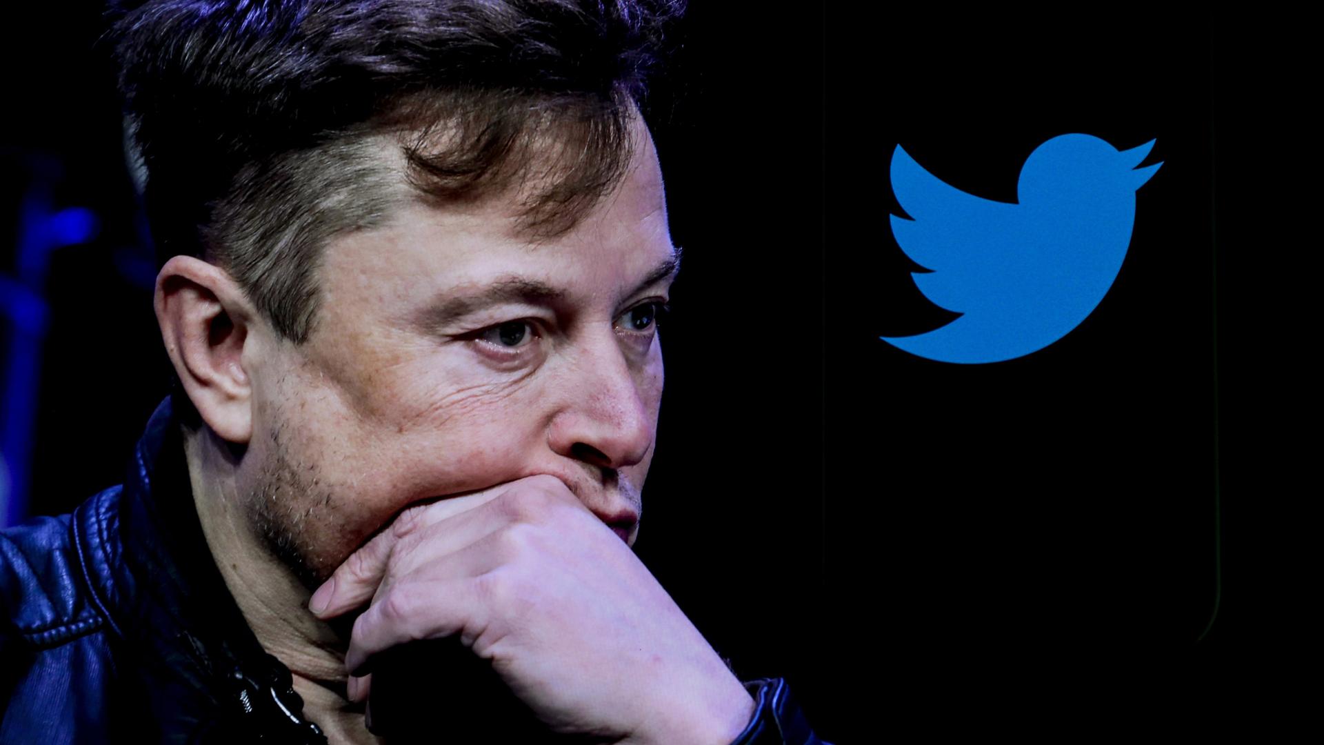 Elon Musk hält seine linke Hand nachdenklich an sein Kinn. Im Hintergrund sieht man das Twitter-Logo.