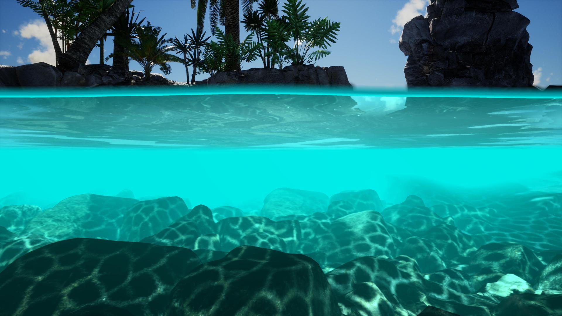 Halbe Unterwasseransicht von sonnenbeschienenen Felsen am Meeresgrund. Über dem Wasser ragen Palmen auf.