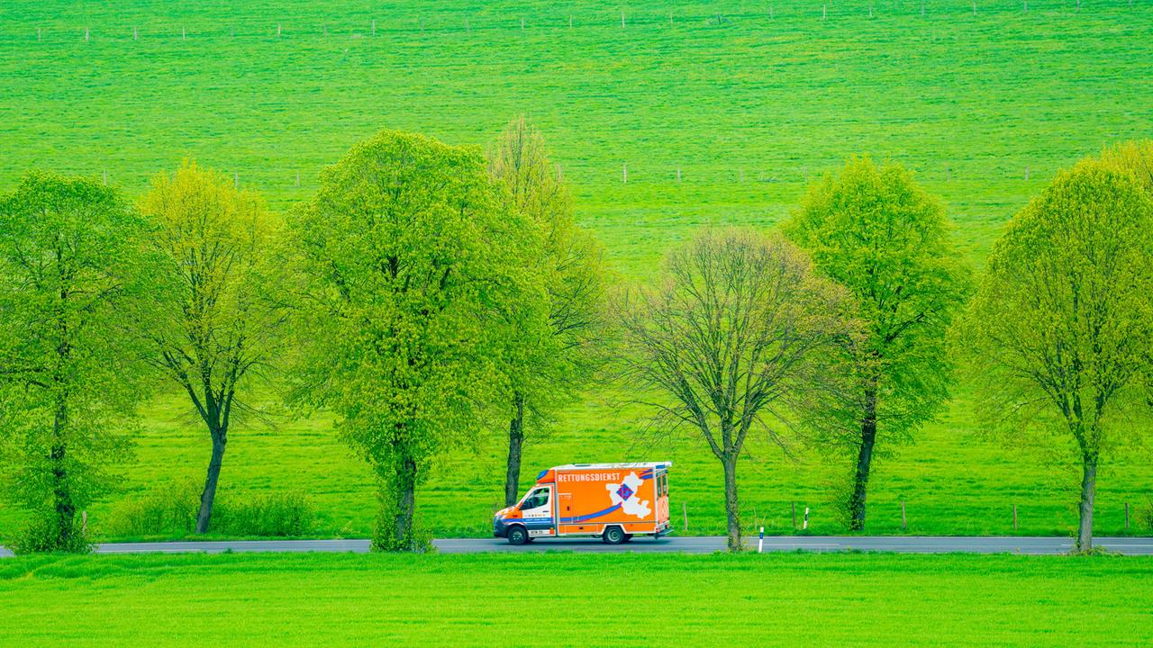 Ein Rettungswagen fährt auf einer Alle durch grüne Wiesen