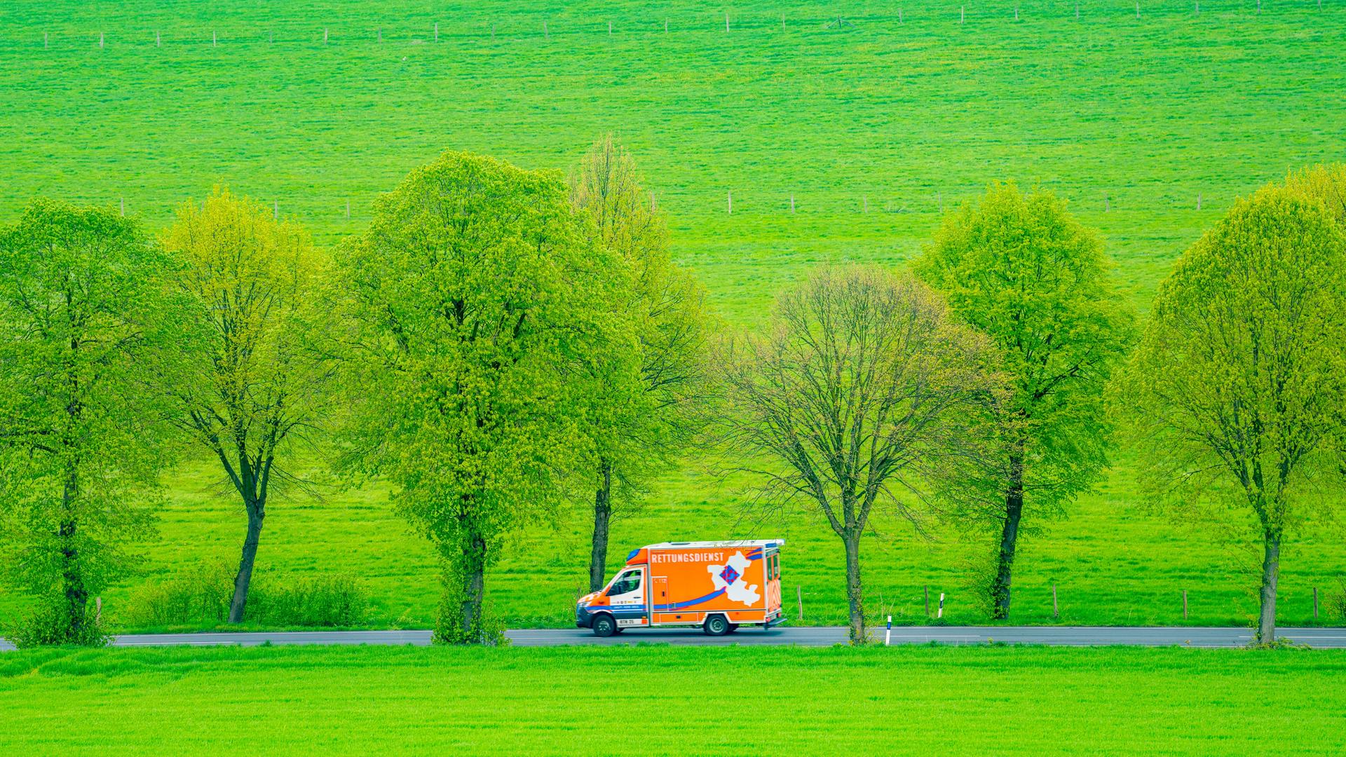 Ein Rettungswagen fährt auf einer Alle durch grüne Wiesen