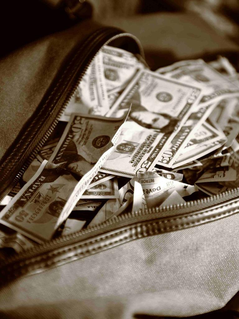 Eine geöffnete Reisetasche mit Geldscheinen.