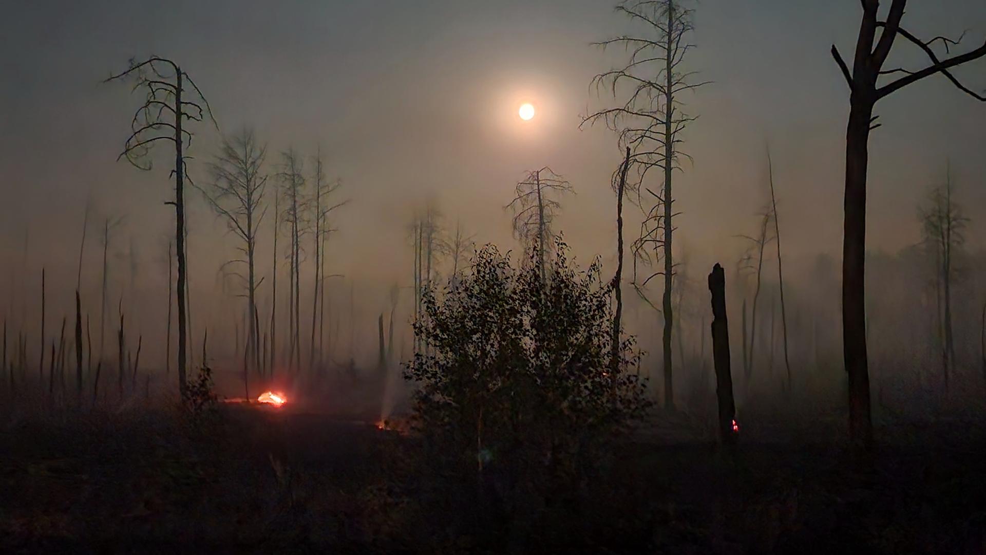 Waldbrand auf einem ehemaligen Truppenübungsplatz bei Jüterbog. Man sieht verkohlte Baumstümpfe und Brandnester auf dem Boden.