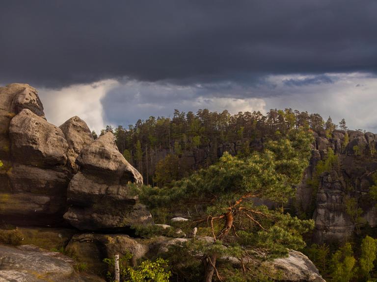 Sächsische Schweiz: Aussicht vom Carolafelsen auf die Schrammsteinkette, den Falkenstein und den Lilienstein. Bad Schandau, Sachsen, Deutschland.