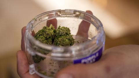 Im Rahmen der Cannabisstudie Weed Care wird Cannabis verkauft in einer Apotheke in Basel.