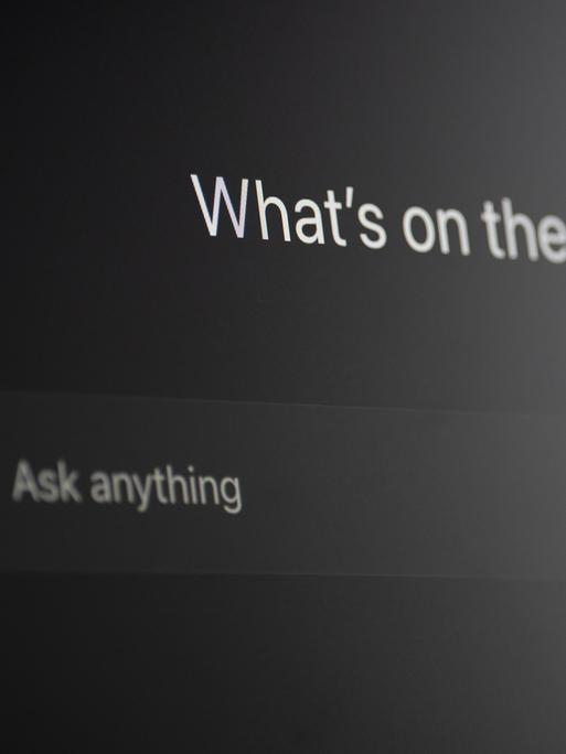 Auf der Chat GPT Startseite auf einem Computermonitor ist die Aufschrift: "What's on the agenda today?" zu lesen und im Eingabefeld darunter: "Ask Anything". Auf der Chat GPT Startseite auf einem Computermonitor ist die Aufschrift: "What's on the agenda today?" zu lesen und im Eingabefeld darunter: "Ask Anything".