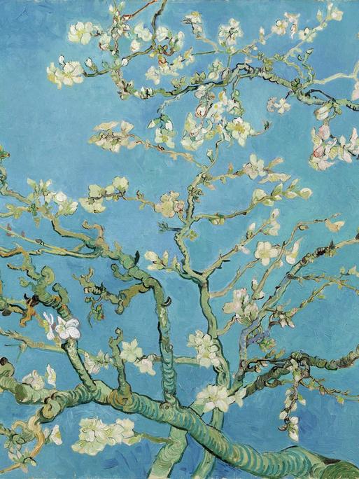 Das Gemälde "Mandelblüte" von Vincent van Gogh, entstanden um 1888. Es gehört dem Van Gogh Museum in Amsterdam.