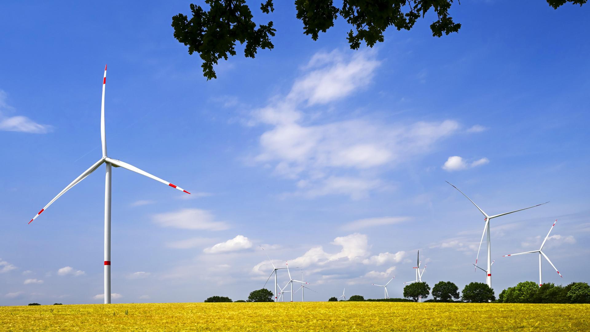 Windräder des Windparks Kesdorf in Schleswig-Holstein, Deutschland