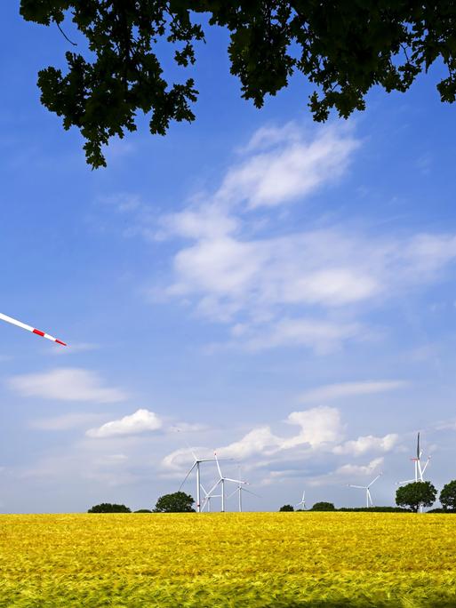 Windräder des Windparks Kesdorf in Schleswig-Holstein, Deutschland