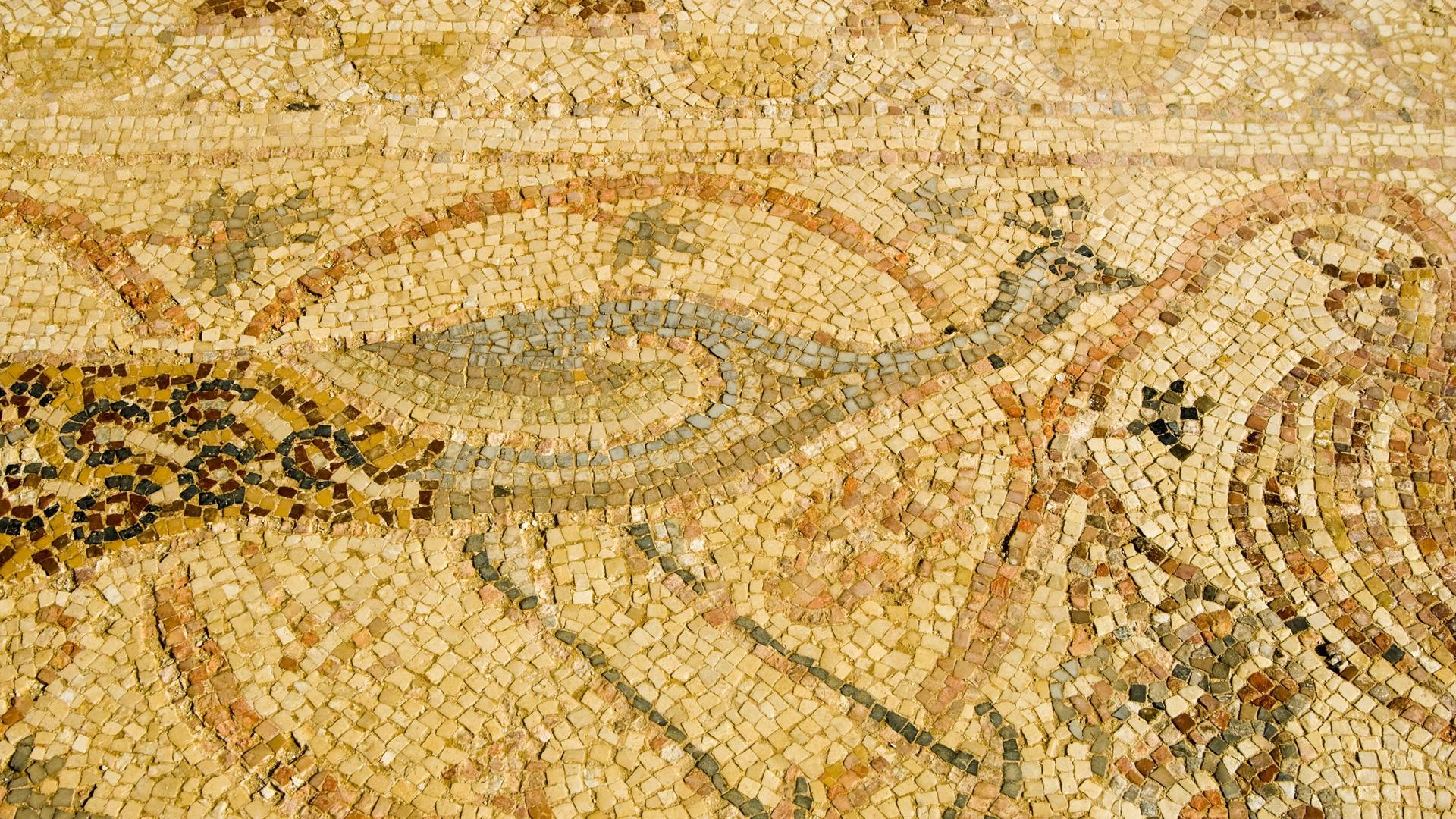 Ein Vogel-Mosaik, gefunden in Mamshit, der nördlichsten Nabatäerstadt in der Wüste Negev. Ein Vogel-Mosaik, gefunden in Mamshit, der nördlichsten Nabatäerstadt in der Wüste Negev.