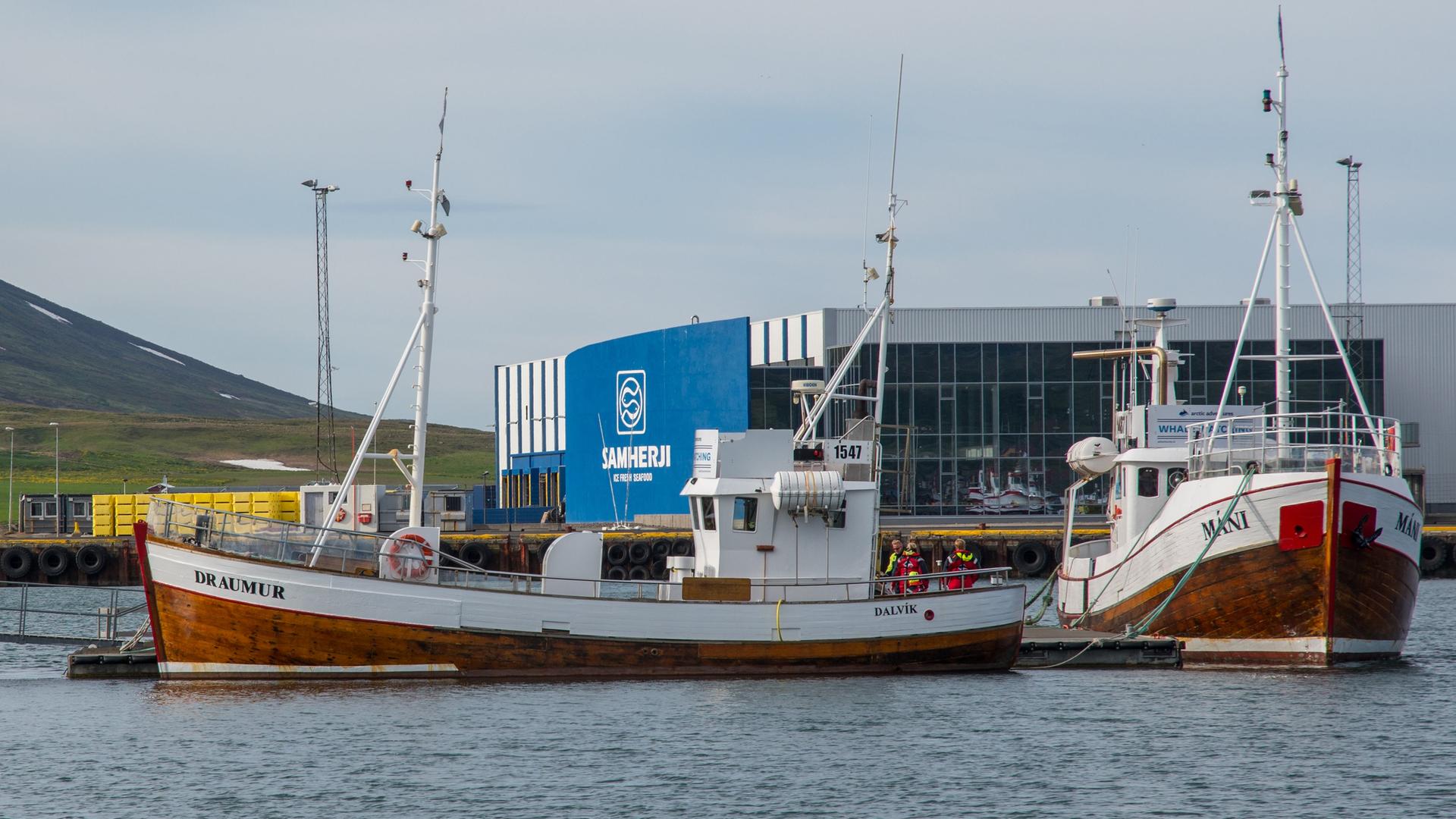 Boote im Hafen von Dalvik in Island. Im Hintergrund ist ein Gebäude mit dem Logo von "Samherji", Islands größtem Fischereiunternehmen, zu sehen.