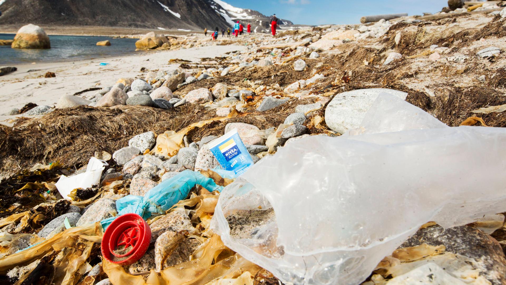 Plastik-Müll in der Arktis