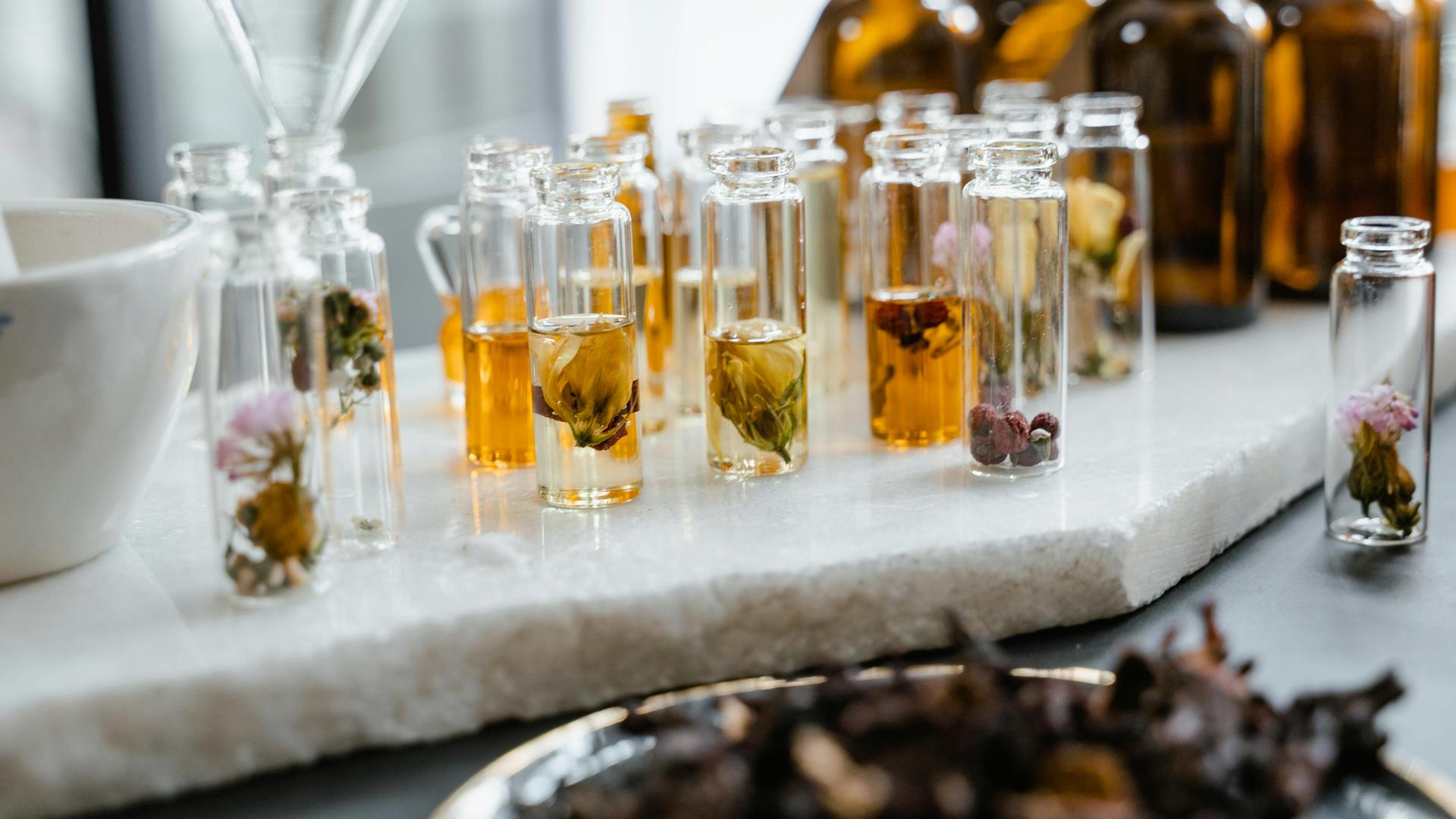 Blick auf einen Tisch, auf dem Glasbehälter aufgestellt sind, die Blüten und Pflanzenteile in Flüssigkeit lagern. Blick auf einen Tisch, auf dem Glasbehälter aufgestellt sind, die Blüten und Pflanzenteile in Flüssigkeit lagern.