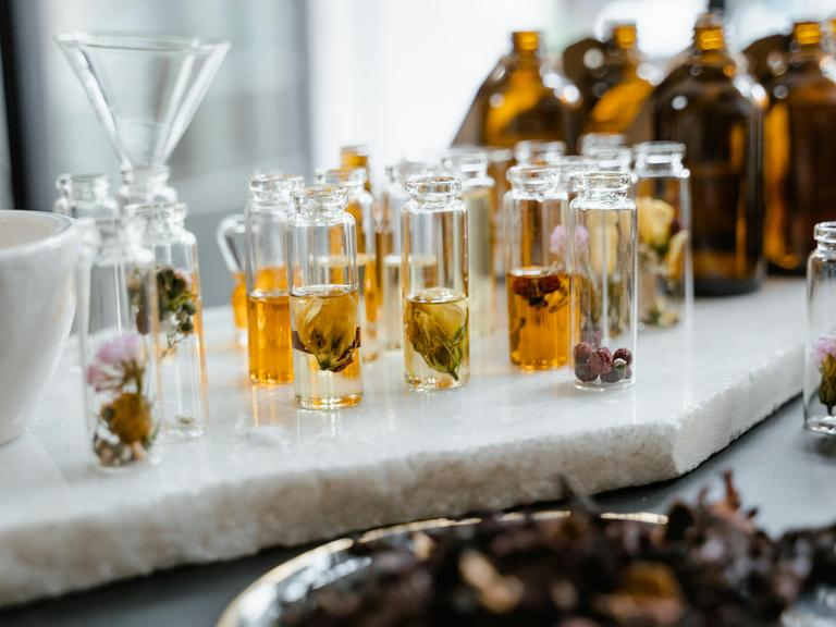 Blick auf einen Tisch, auf dem Glasbehälter aufgestellt sind, die Blüten und Pflanzenteile in Flüssigkeit lagern.