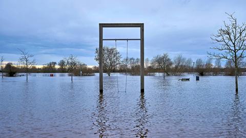 Schaukel unter Wasser mit Bäumen im Hochwassergebiet an der Aller in Verden (31.12.2023)