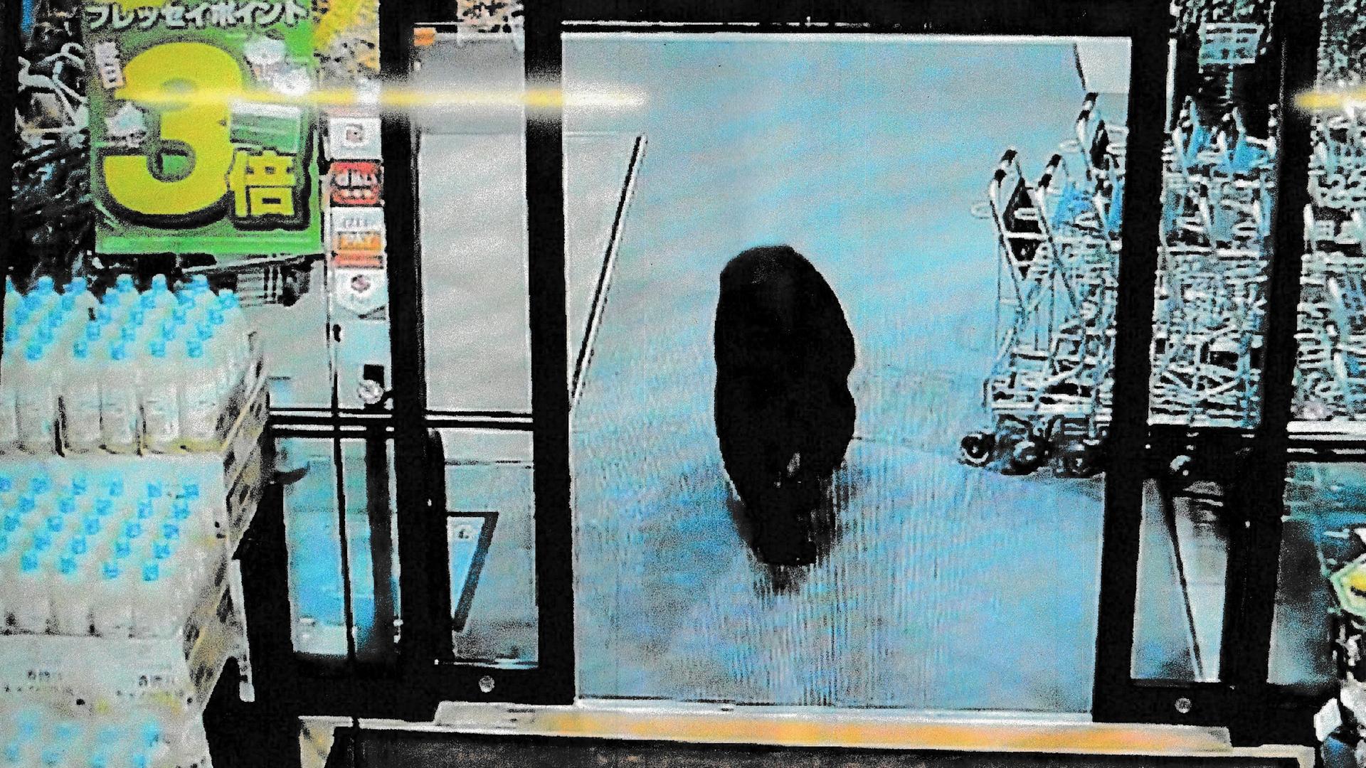 Ein Bär läuft in einem Kiosk in Japan durch einen Gang. Ein Bär läuft in einem Kiosk in Japan durch einen Gang.