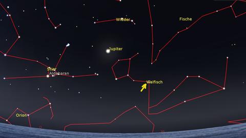 Eine Sternenkarte von Anfang August 1596: Jupiter steht in den Fischen, etwas unterhalb bemerkte Johann Fabricius den Stern Mira, der immer nur für einige Monate mit bloßem Auge zu sehen ist. 