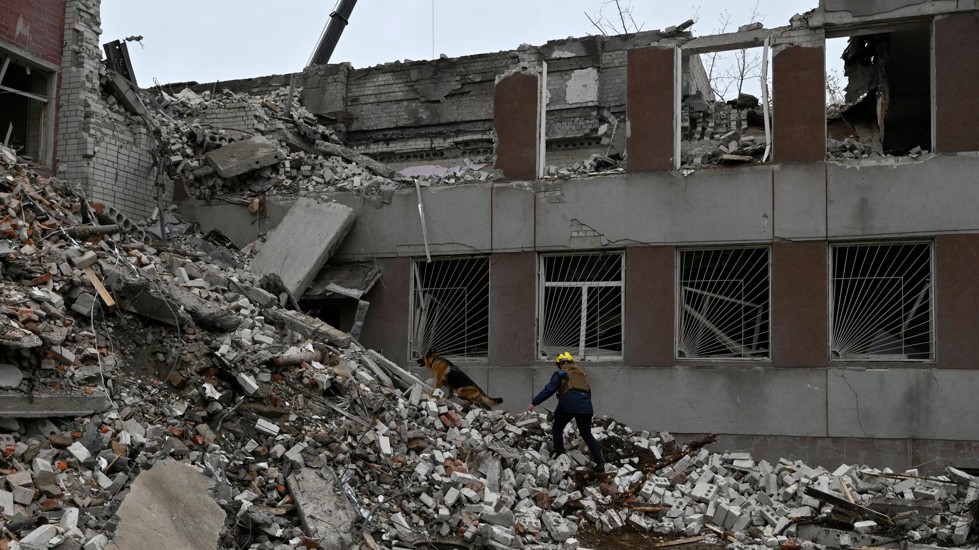 Ein Mann in Schutzkleidung steht mit einem Spürhund auf dem Trümmerberg eines nach Raketenbeschuss komplett zerstörten Gebäudes.
