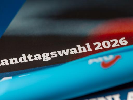 Flyer der AfD mit Text Landtagswahl 2026 (Symbolbild) Flyer der AfD mit Text Landtagswahl 2026 (Symbolbild)