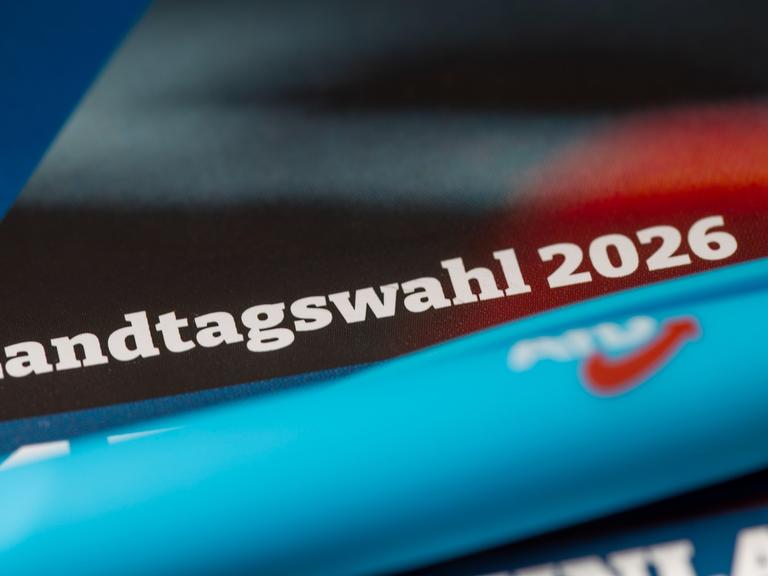 Flyer der AfD mit Text Landtagswahl 2026 (Symbolbild)