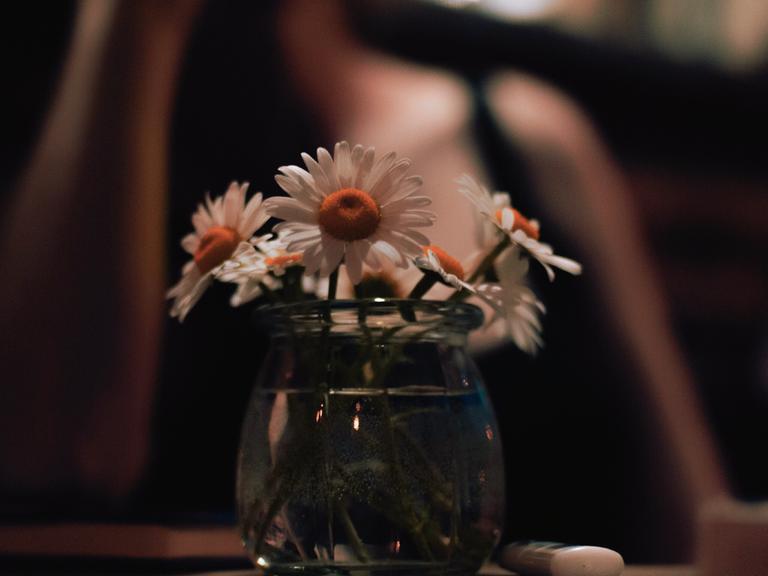 Nahaufnahme einer Vase mit Gänseblümchen (engl. Daisy, wie der Name der Protagonistin), die Stimmung im Bild ist eher düster, im Hintergrund ist unscharf eine Person zu erkennen.