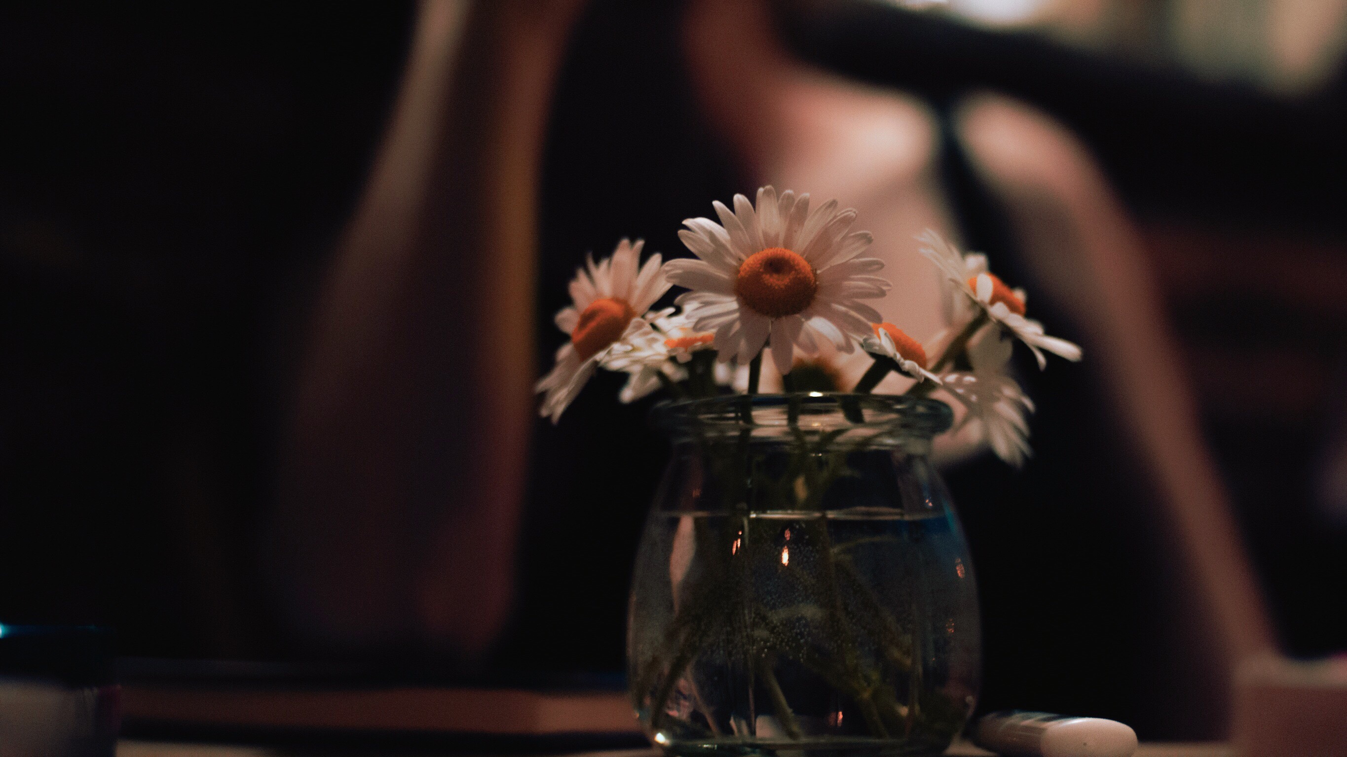 Nahaufnahme einer Vase mit Gänseblümchen (engl. Daisy, wie der Name der Protagonistin), die Stimmung im Bild ist eher düster, im Hintergrund ist unscharf eine Person zu erkennen.