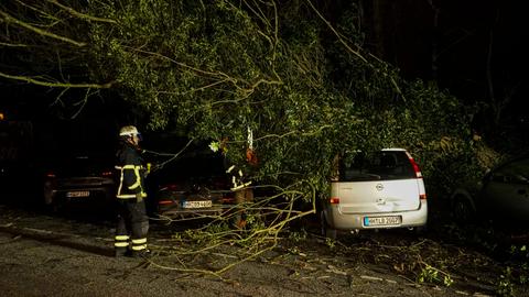 Sturmtief Zoltan fegt über Hamburg hinweg, Bäume fallen auf mehrere Fahrzeuge an zwei Einsatzstellen. Zwei Feuerwehrleuten versuchen, die Fahrzeuge freizulegen.