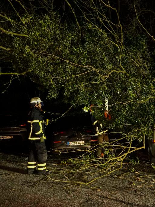 Sturmtief Zoltan fegt über Hamburg hinweg, Bäume fallen auf mehrere Fahrzeuge an zwei Einsatzstellen. Zwei Feuerwehrleuten versuchen, die Fahrzeuge freizulegen.