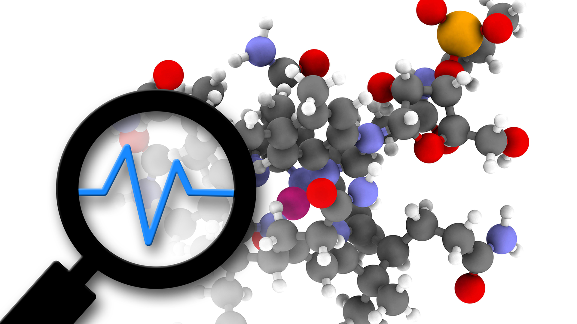 Vitamin B12 muss in den Körper-Zellen umgebaut werden, damit der Organismus es für den Stoffwechsel einsetzen kann 