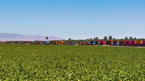 Paprikaanbau auf einer riesigen Farm im Coachella Valley in Kalifornien. Im Hintergrund fährt ein Zug mit endlosen Wagen vorbei.