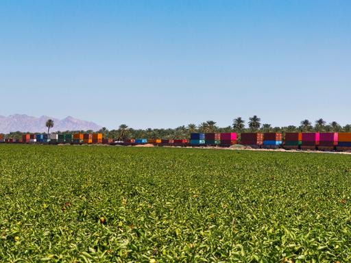 Paprikaanbau auf einer riesigen Farm im Coachella Valley in Kalifornien. Im Hintergrund fährt ein Zug mit endlosen Wagen vorbei.