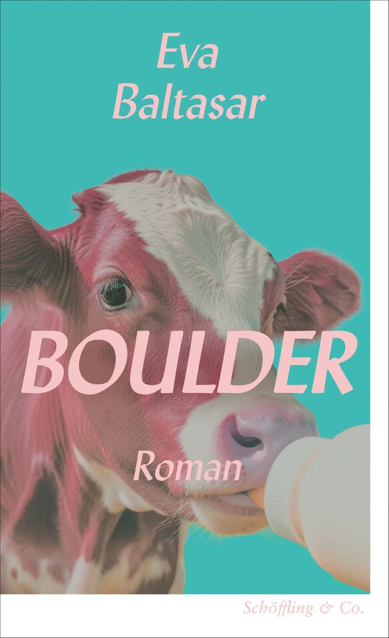 Cover des Buchs "Boulder" von Eva Baltasar Cover des Buchs "Boulder" von Eva Baltasar