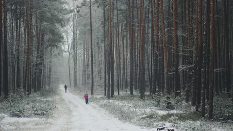 Ein Kind folgt einer erwachsenen Person im Schnee auf einem Waldweg.