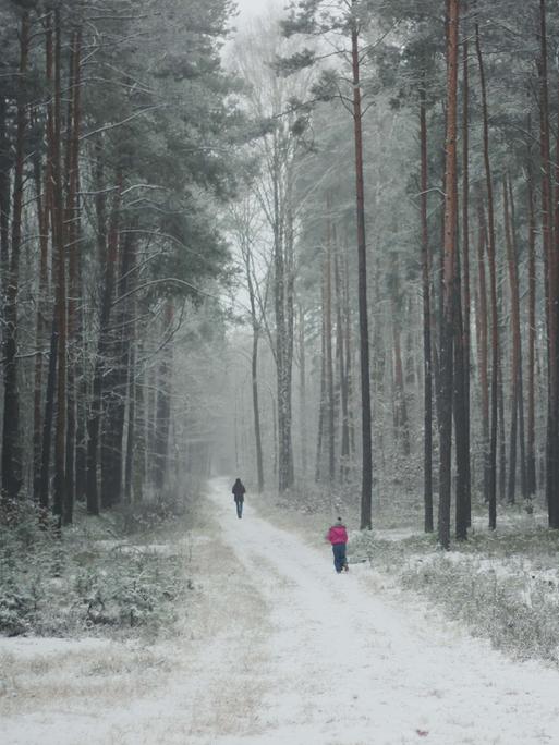 Ein Kind folgt einer erwachsenen Person im Schnee auf einem Waldweg.