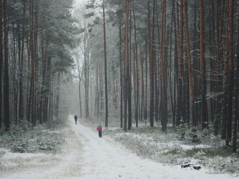 Ein Kind folgt einer erwachsenen Person im Schnee auf einem Waldweg.